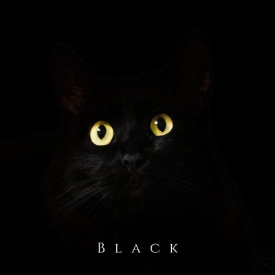 negro